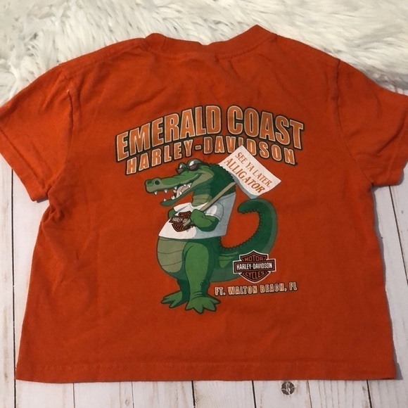 Harley-Davidson Florida kid tee size M - Picture 4 of 8